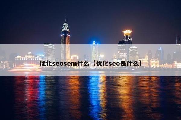 优化seosem什么（优化seo是什么）