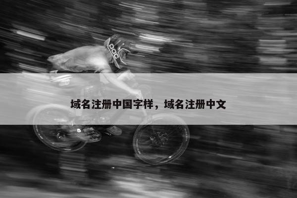 域名注册中国字样，域名注册中文