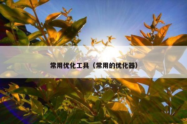 常用优化工具（常用的优化器）