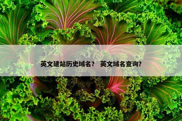 英文建站历史域名？ 英文域名查询？
