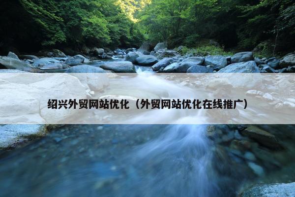 绍兴外贸网站优化（外贸网站优化在线推广）