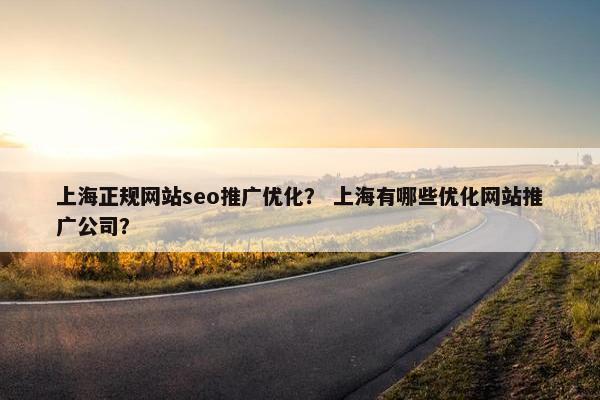 上海正规网站seo推广优化？ 上海有哪些优化网站推广公司？