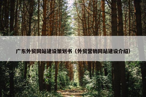 广东外贸网站建设策划书（外贸营销网站建设介绍）