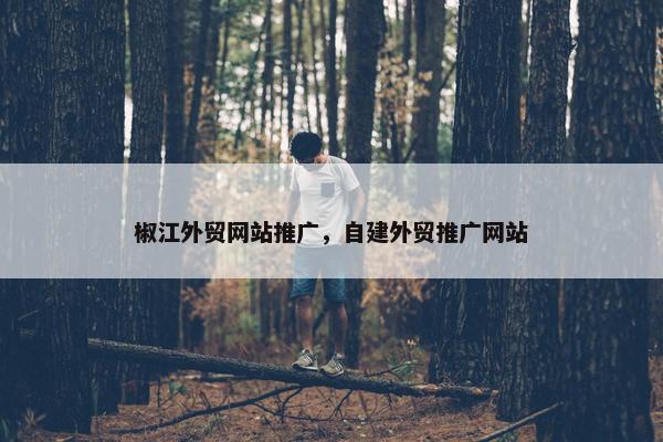 椒江外贸网站推广，自建外贸推广网站