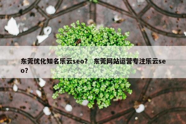 东莞优化知名乐云seo？ 东莞网站运营专注乐云seo？