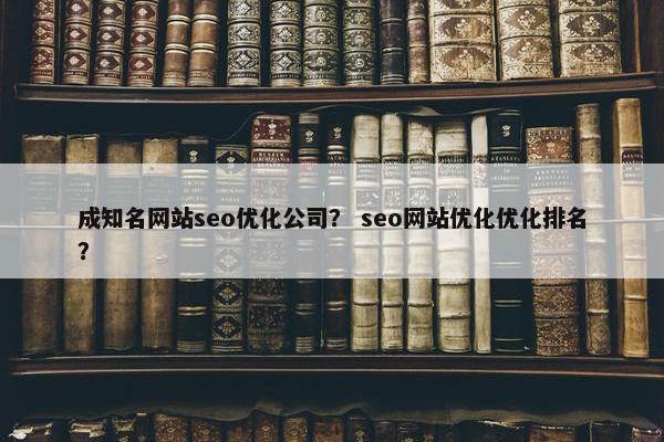 成知名网站seo优化公司？ seo网站优化优化排名？