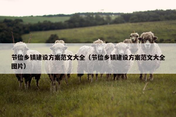 节俭乡镇建设方案范文大全（节俭乡镇建设方案范文大全图片）