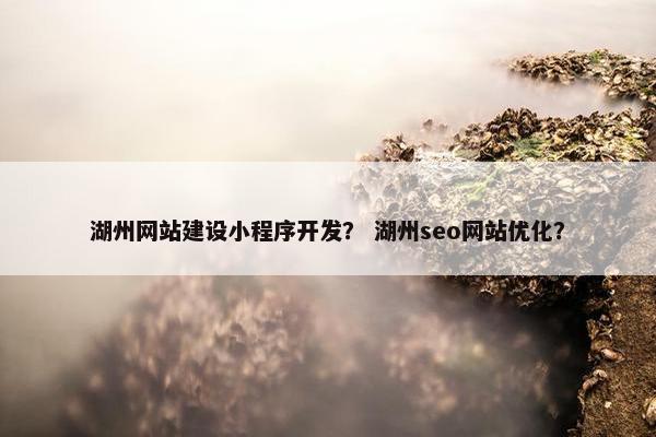 湖州网站建设小程序开发？ 湖州seo网站优化？