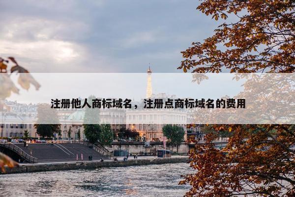 注册他人商标域名，注册点商标域名的费用