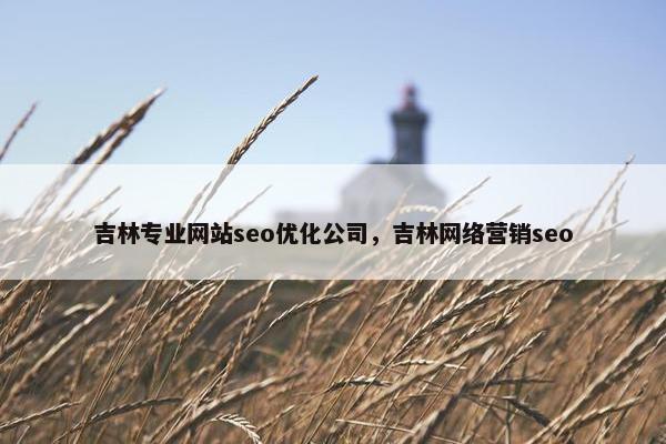 吉林专业网站seo优化公司，吉林网络营销seo