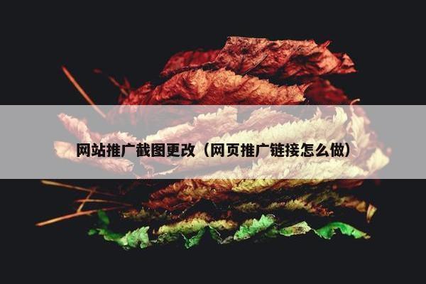 网站推广截图更改（网页推广链接怎么做）