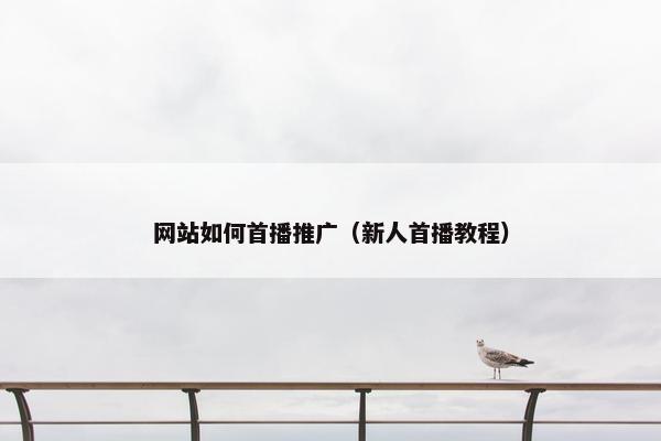 网站如何首播推广（新人首播教程）