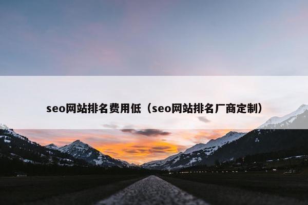 seo网站排名费用低（seo网站排名厂商定制）