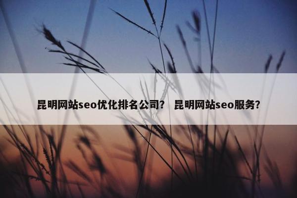 昆明网站seo优化排名公司？ 昆明网站seo服务？