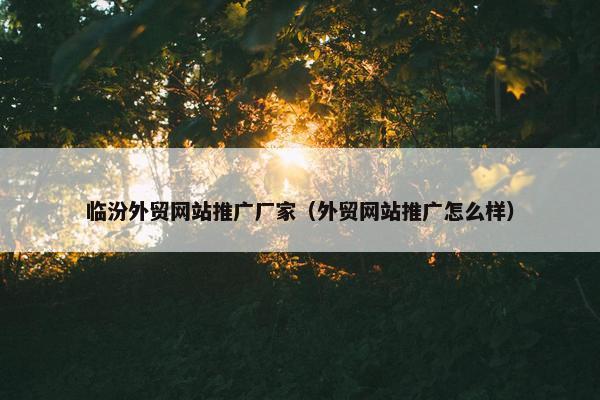 临汾外贸网站推广厂家（外贸网站推广怎么样）