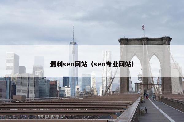最利seo网站（seo专业网站）
