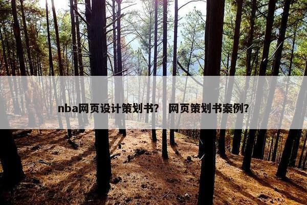 nba网页设计策划书？ 网页策划书案例？