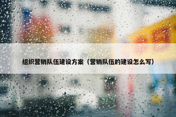 组织营销队伍建设方案（营销队伍的建设怎么写）