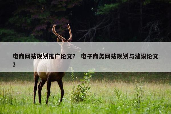 电商网站规划推广论文？ 电子商务网站规划与建设论文？