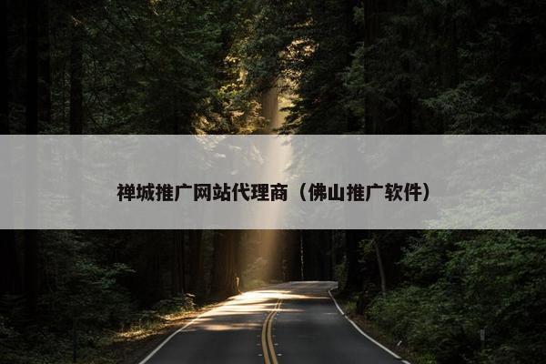 禅城推广网站代理商（佛山推广软件）