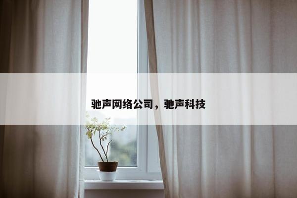 驰声网络公司，驰声科技