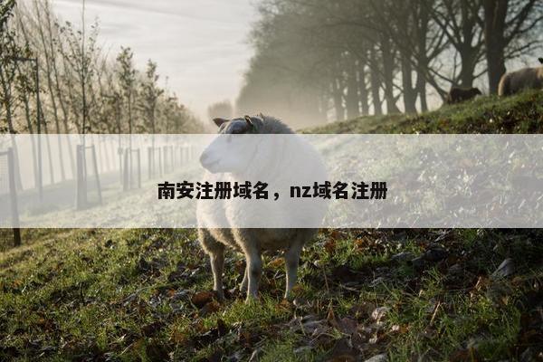 南安注册域名，nz域名注册