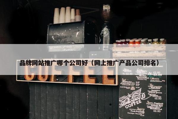品牌网站推广哪个公司好（网上推广产品公司排名）