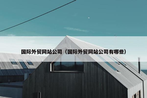 国际外贸网站公司（国际外贸网站公司有哪些）