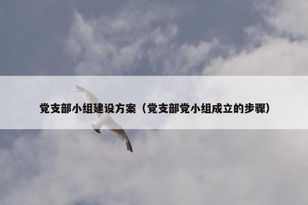党支部小组建设方案（党支部党小组成立的步骤）