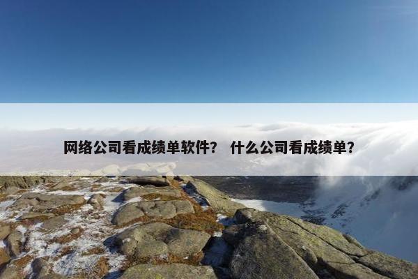 网络公司看成绩单软件？ 什么公司看成绩单？