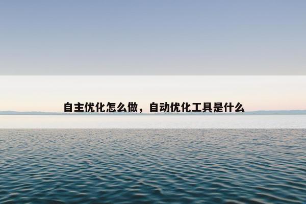 自主优化怎么做，自动优化工具是什么