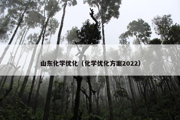 山东化学优化（化学优化方案2022）