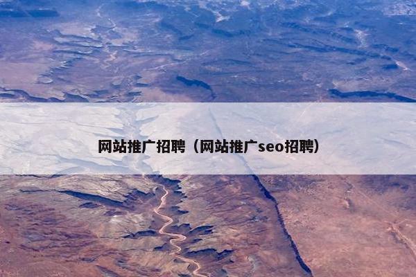 网站推广招聘（网站推广seo招聘）