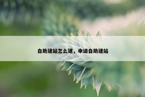 自助建站怎么建，申请自助建站