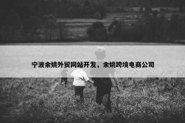 宁波余姚外贸网站开发，余姚跨境电商公司