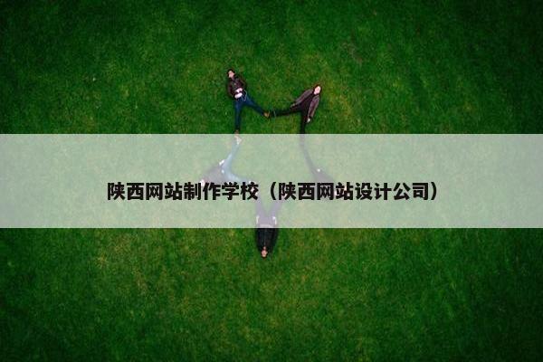 陕西网站制作学校（陕西网站设计公司）