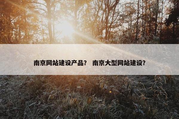 南京网站建设产品？ 南京大型网站建设？