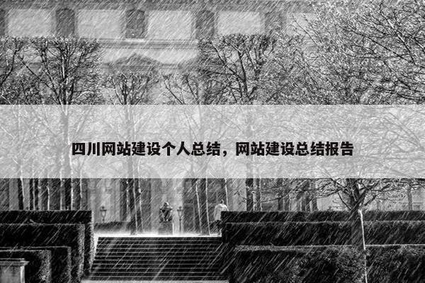 四川网站建设个人总结，网站建设总结报告