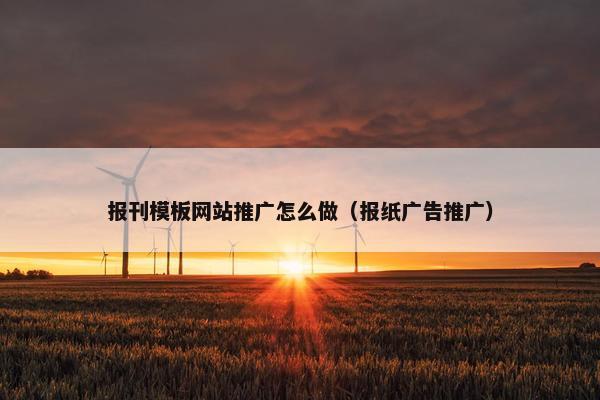 报刊模板网站推广怎么做（报纸广告推广）
