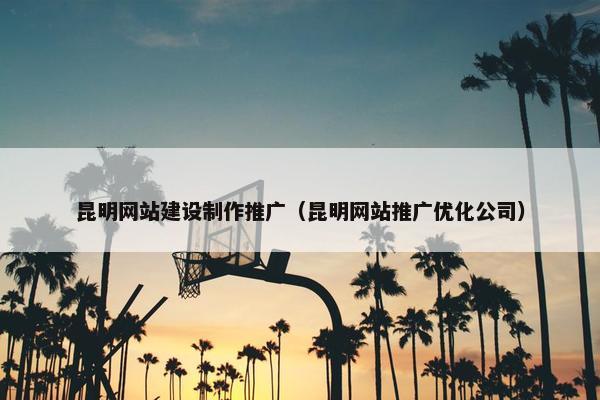 昆明网站建设制作推广（昆明网站推广优化公司）