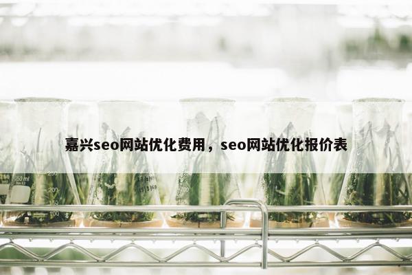 嘉兴seo网站优化费用，seo网站优化报价表