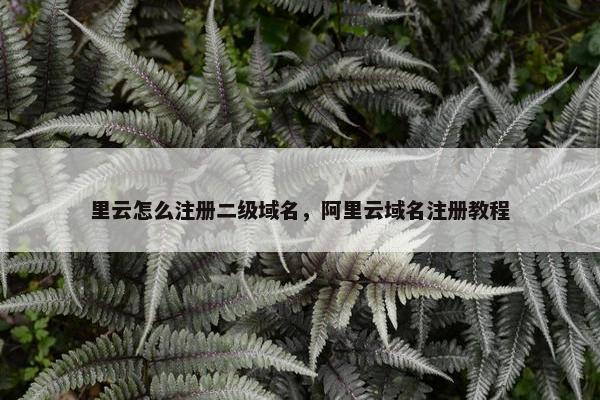 里云怎么注册二级域名，阿里云域名注册教程