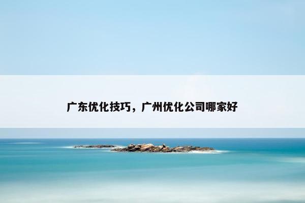 广东优化技巧，广州优化公司哪家好