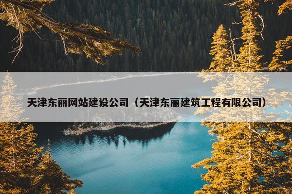 天津东丽网站建设公司（天津东丽建筑工程有限公司）