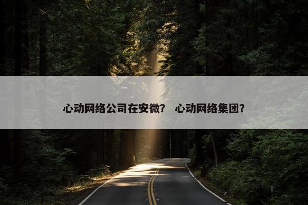 心动网络公司在安微？ 心动网络集团？