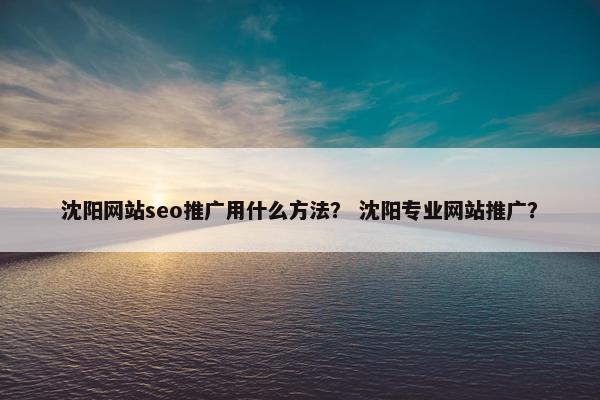沈阳网站seo推广用什么方法？ 沈阳专业网站推广？