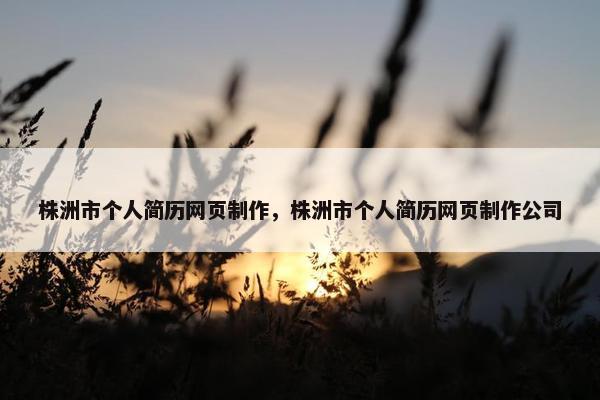 株洲市个人简历网页制作，株洲市个人简历网页制作公司