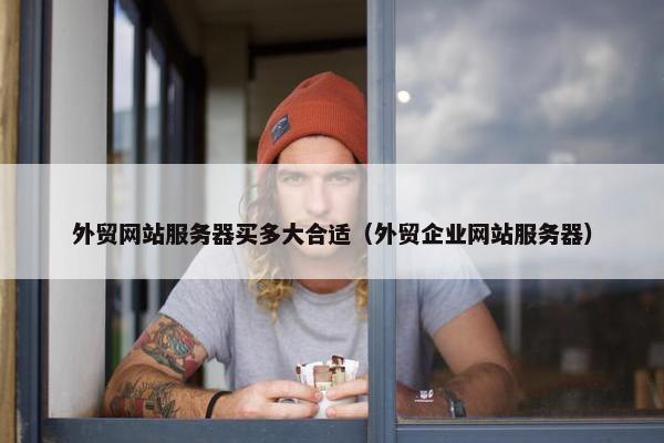 外贸网站服务器买多大合适（外贸企业网站服务器）