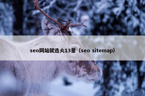 seo网站就选火13星（seo sitemap）