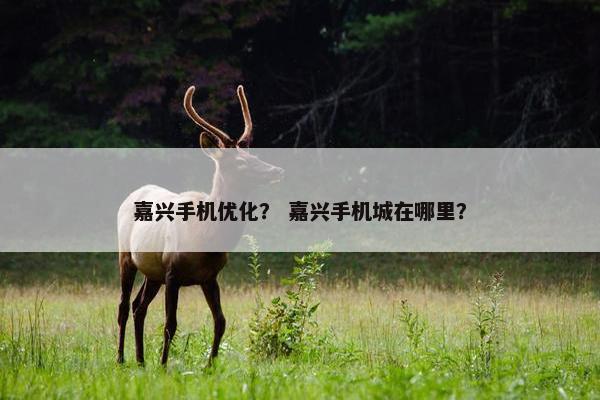 嘉兴手机优化？ 嘉兴手机城在哪里？